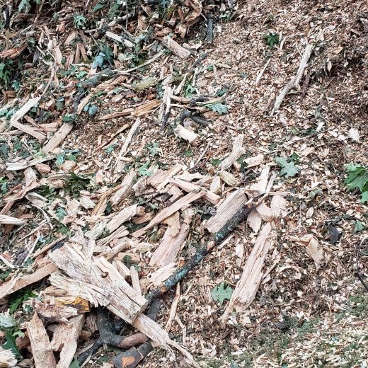 Mulches Grand Rapids Mulch