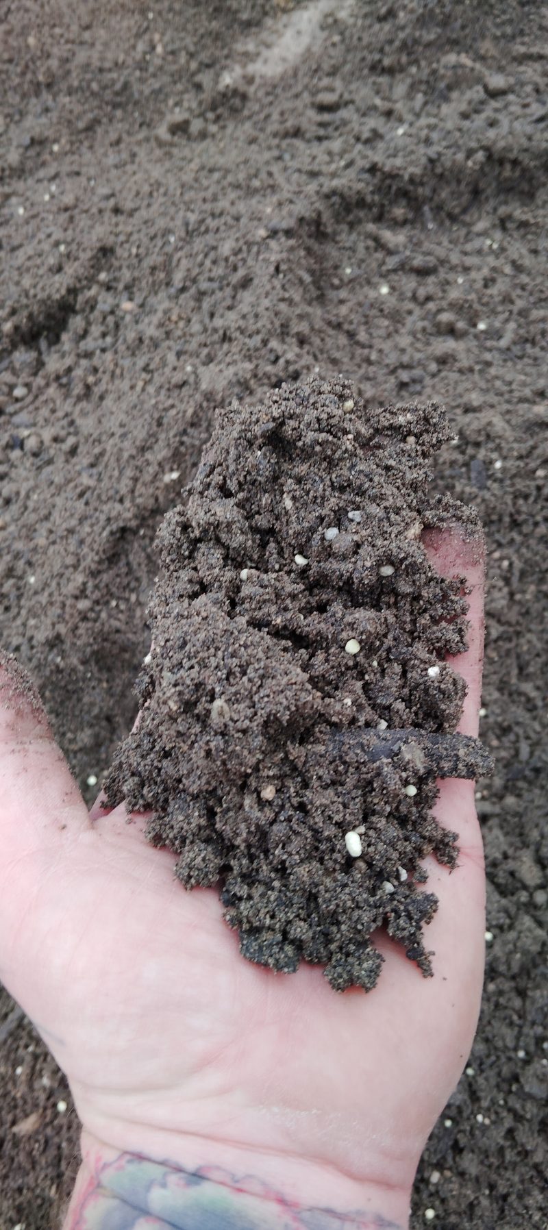 GreenStart Seeding Soil