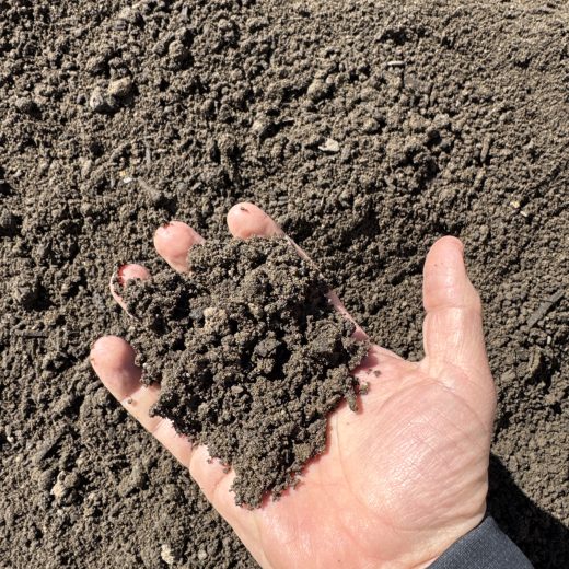 A hand holding a soil-like substance